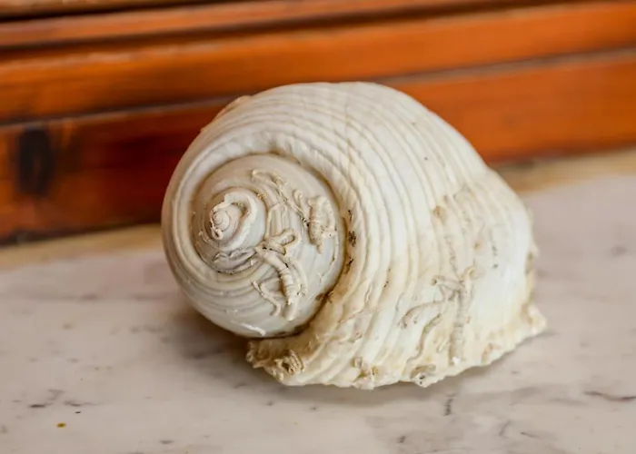 Apartman Antonia House