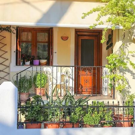 Antonia House *
