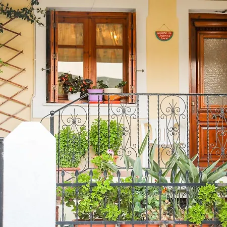 Antonia House *