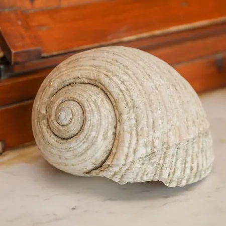 Antonia House Lejlighed Skiathos by